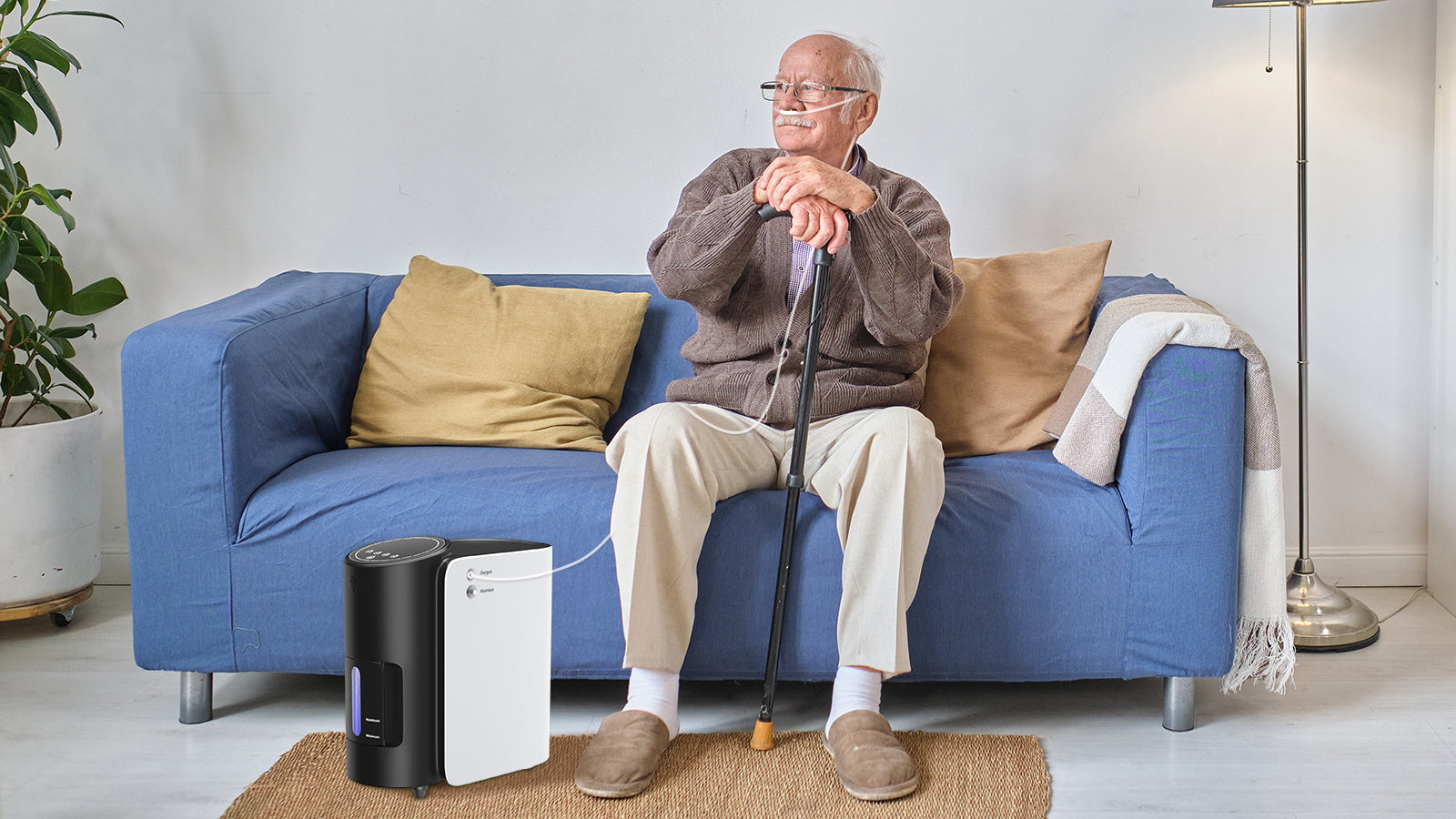 Iltcirkulation og Hjernefunktion